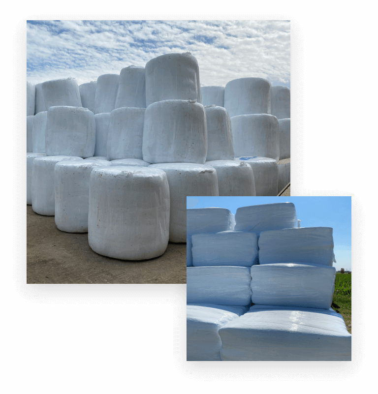 Why to chose F4S Prime